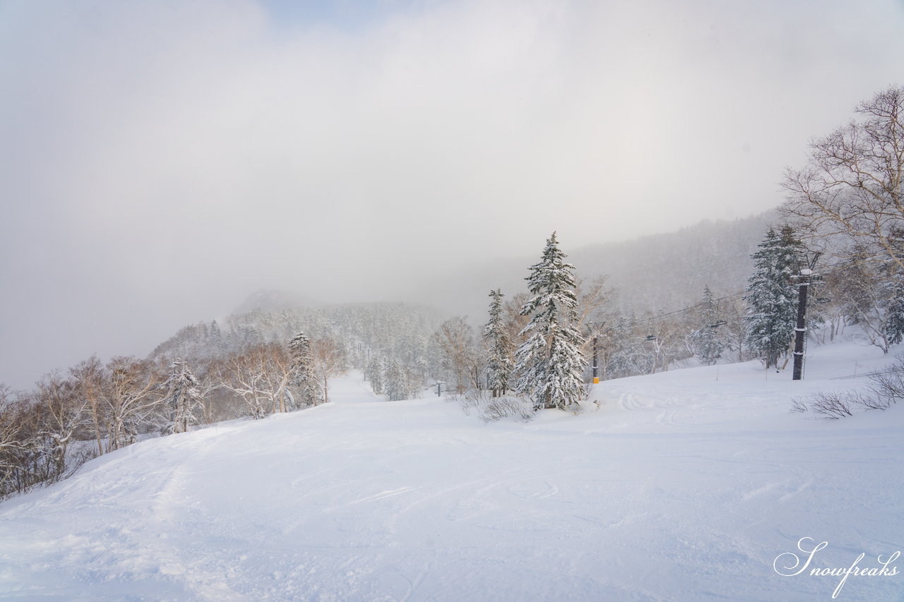 大雪山層雲峡・黒岳ロープウェイスキー場｜極上のふわっふわ粉雪が、たっぷり♪厳冬期を迎えた黒岳のパウダーは、レベルが違います☆